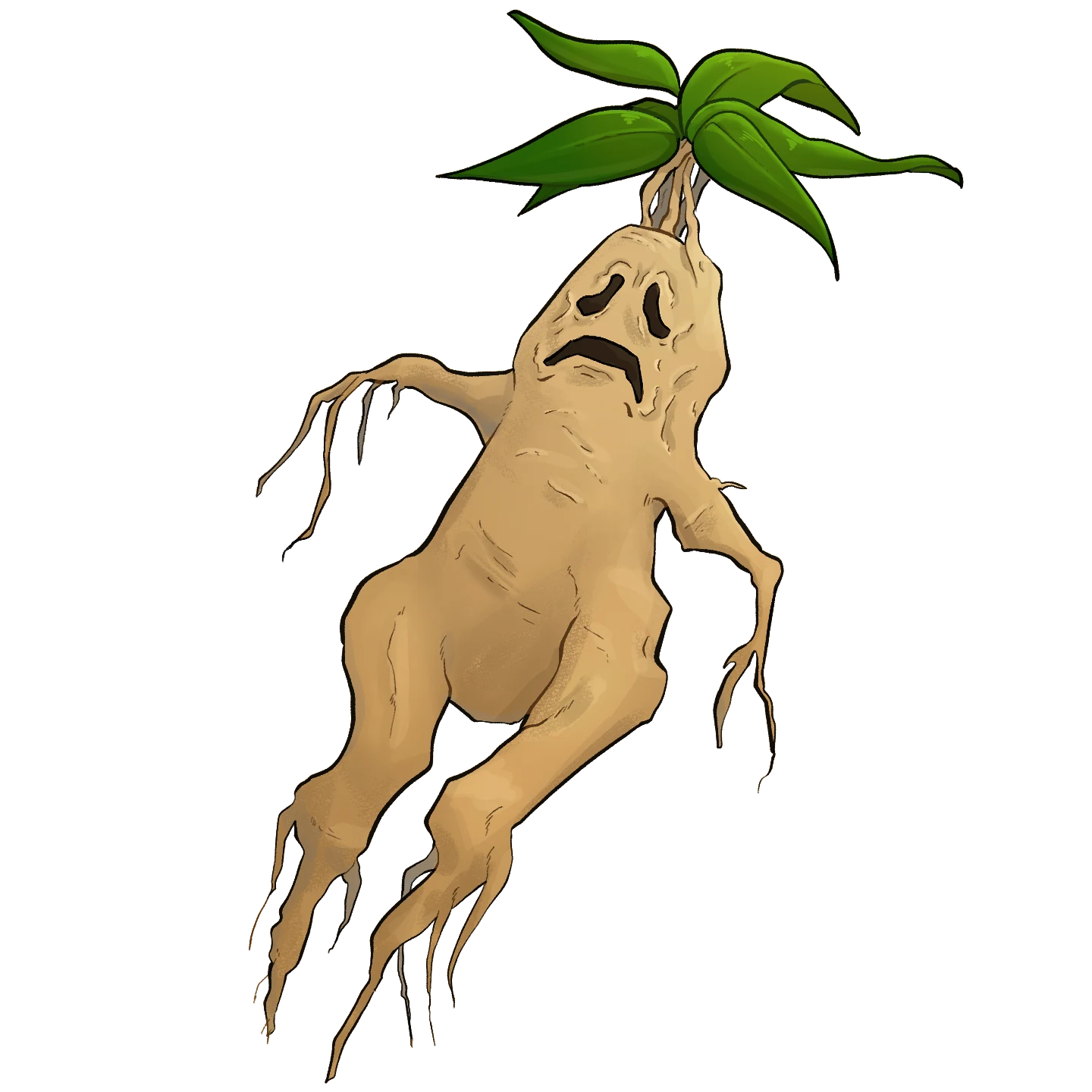 マンドラゴラの素材アイテム